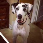 Flower giving a piece of her mind