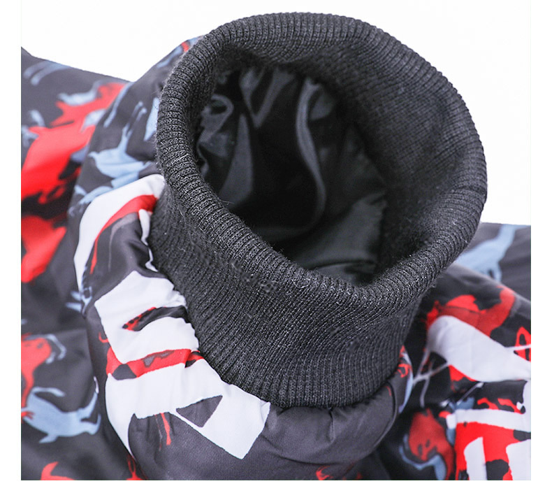 Large dog clothing - Image 3