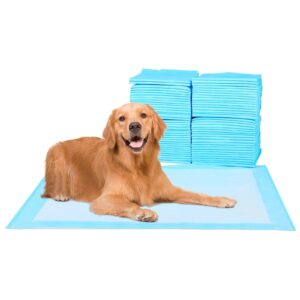 40 Pcs 30 Inchesx 30 Inches Premium Disposable Training Pads, Pee Pads, Training Pads, Disposable Puppy Pee Pads, Quick Absorb And Odor Control, Manufactured In The US