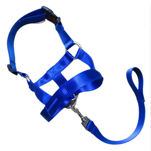 Dog rectification rushing leash dog cover - Image 2