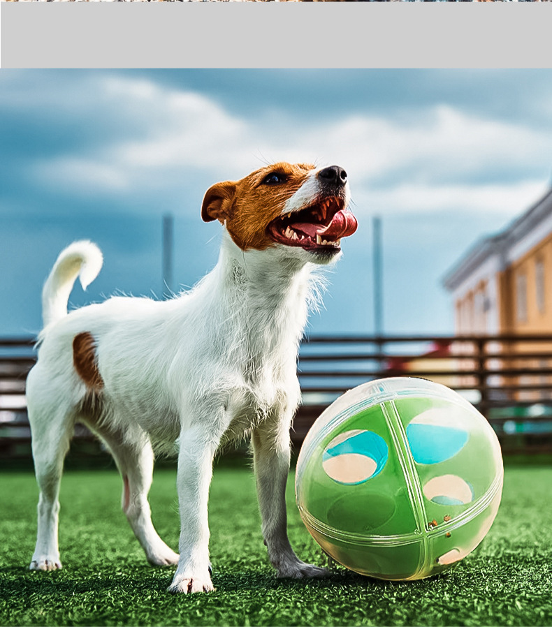 Dog Toy Relieving Stuffy Artifact Sound Puzzle - Image 10