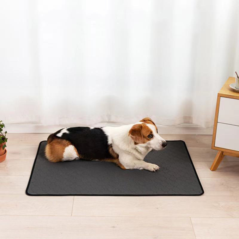 Waterproof Dog Mats Water-absorbing Dog Diaper Changing Mat Training Reusable Pet Changing Mat AntiSlip Mat Carpet Absorbent Mat - Image 5