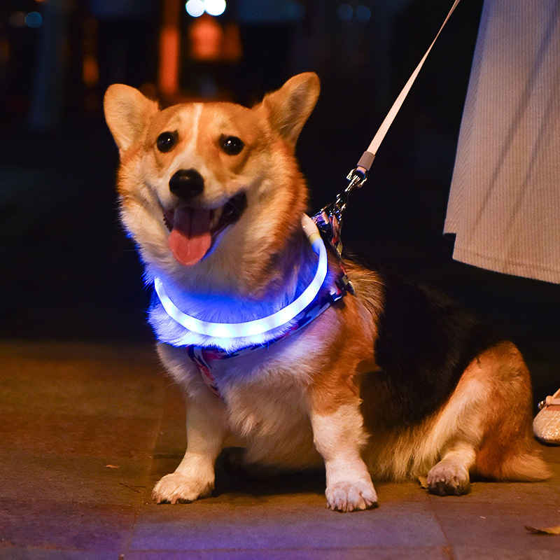 Dog Pet Luminous Led Collar Usb Rechargeable Silicone Collar Luminous Dog Leash Pet Supplies - Image 3