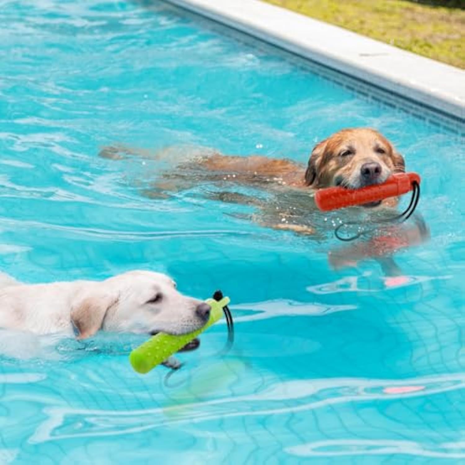 Floating Dog Pool Toys - Interactive Fetching Dog Water Toys For Hiding Food, Lightweight TPR Bumper Toys With Rope For Summer Outdoor Dogs Training Playing - Image 7