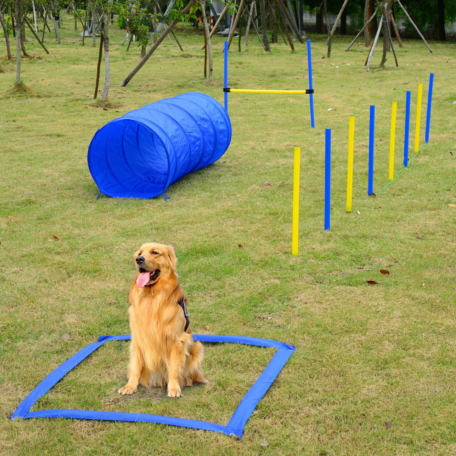 Backyard Competitive Dog Agility Training Kit Obstacle Course Equipment - Image 5