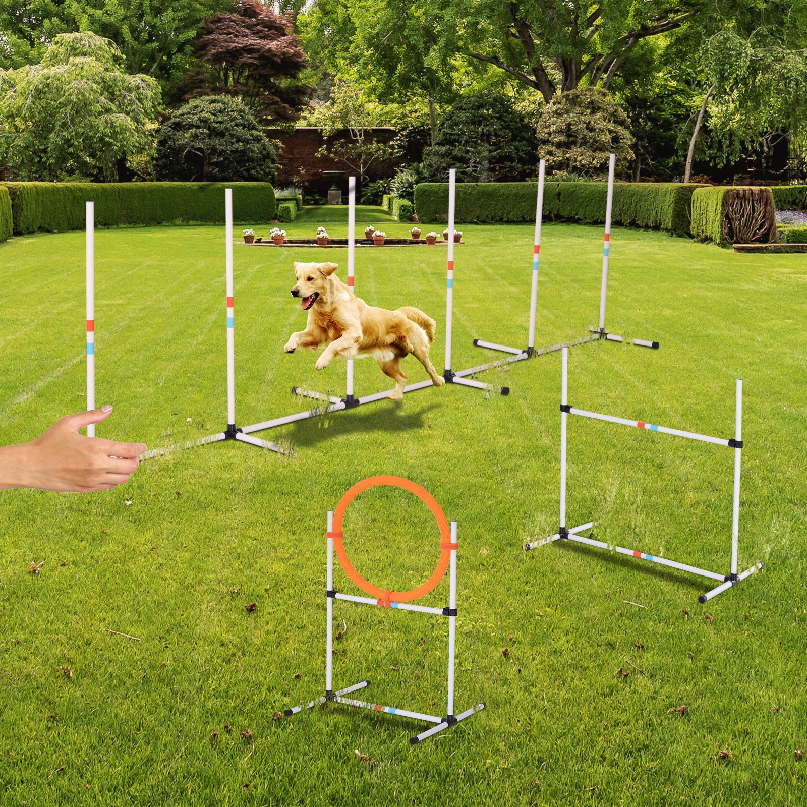 Portable Pet Agility Pet Training Set Dog Obstacle Exercise Adjustable Jump Ring High Jumper w/ Carry Bag - Image 6