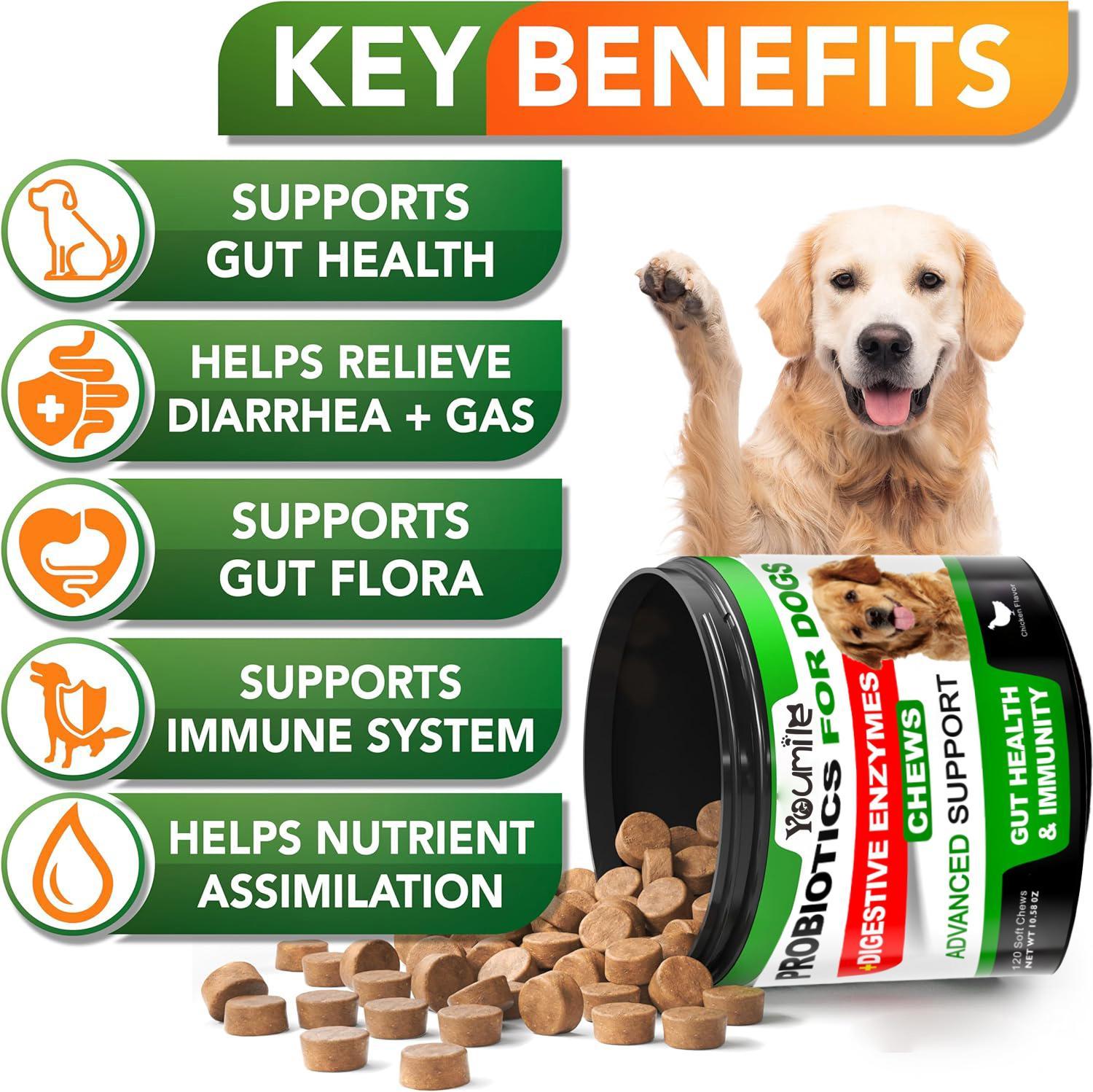 Youmile Probiotics For Dogs Soft Chews For Seasonal Allergies, Gut, And Digestive Health. Vet-Reviewed, Premium-Quality Ingredients - Supplements Dog Vitamin Hip And Joint Supplement - Image 8
